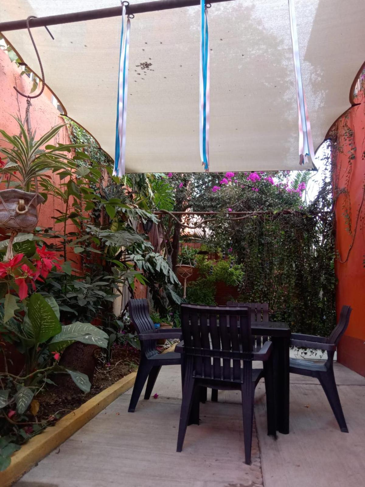 Casa Guanab Guest House Oaxaca Buitenkant foto