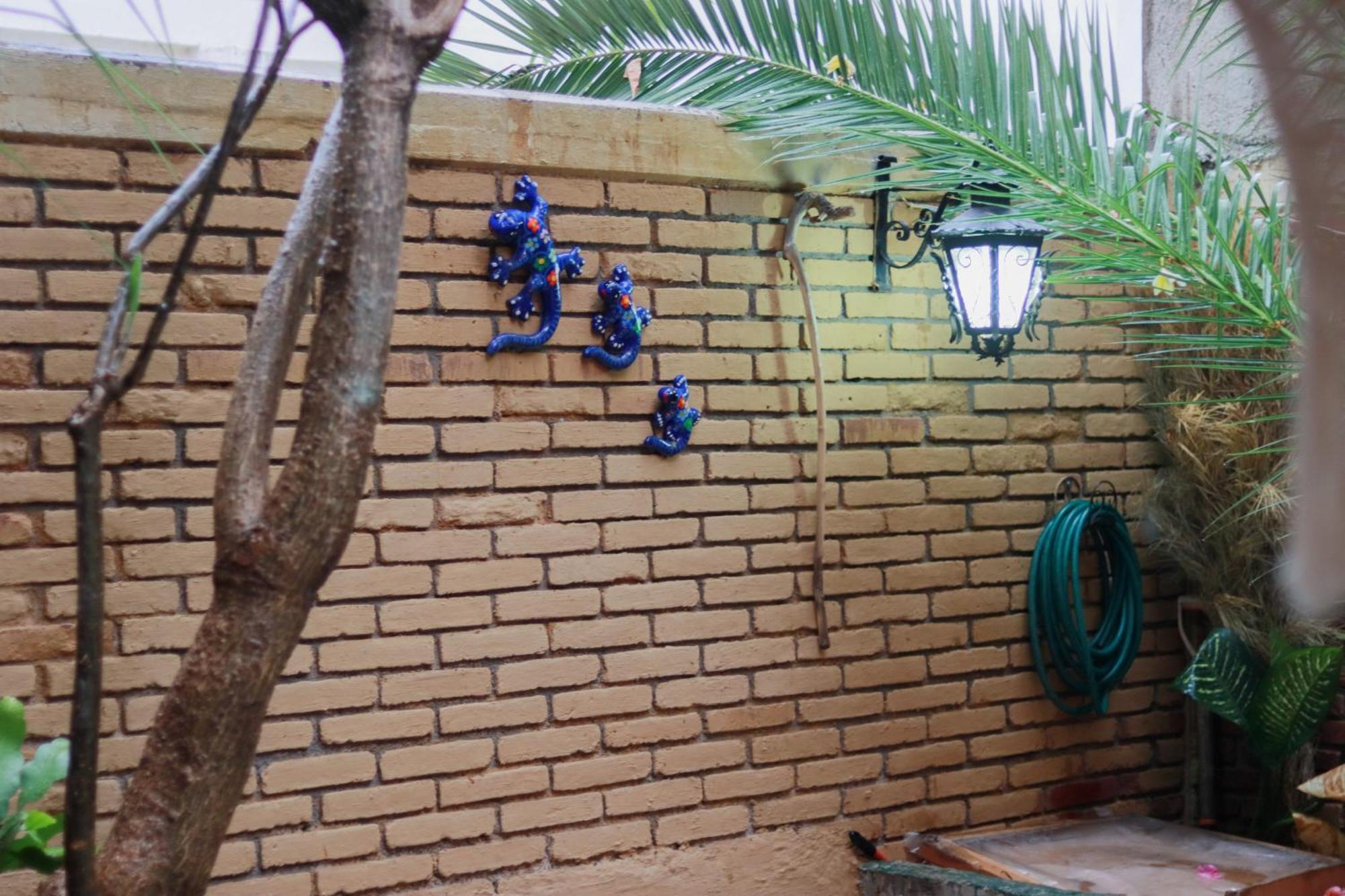 Casa Guanab Guest House Oaxaca Buitenkant foto