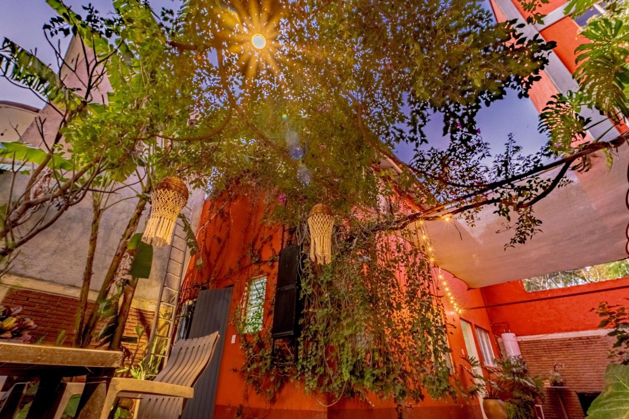 Casa Guanab Guest House Oaxaca Buitenkant foto