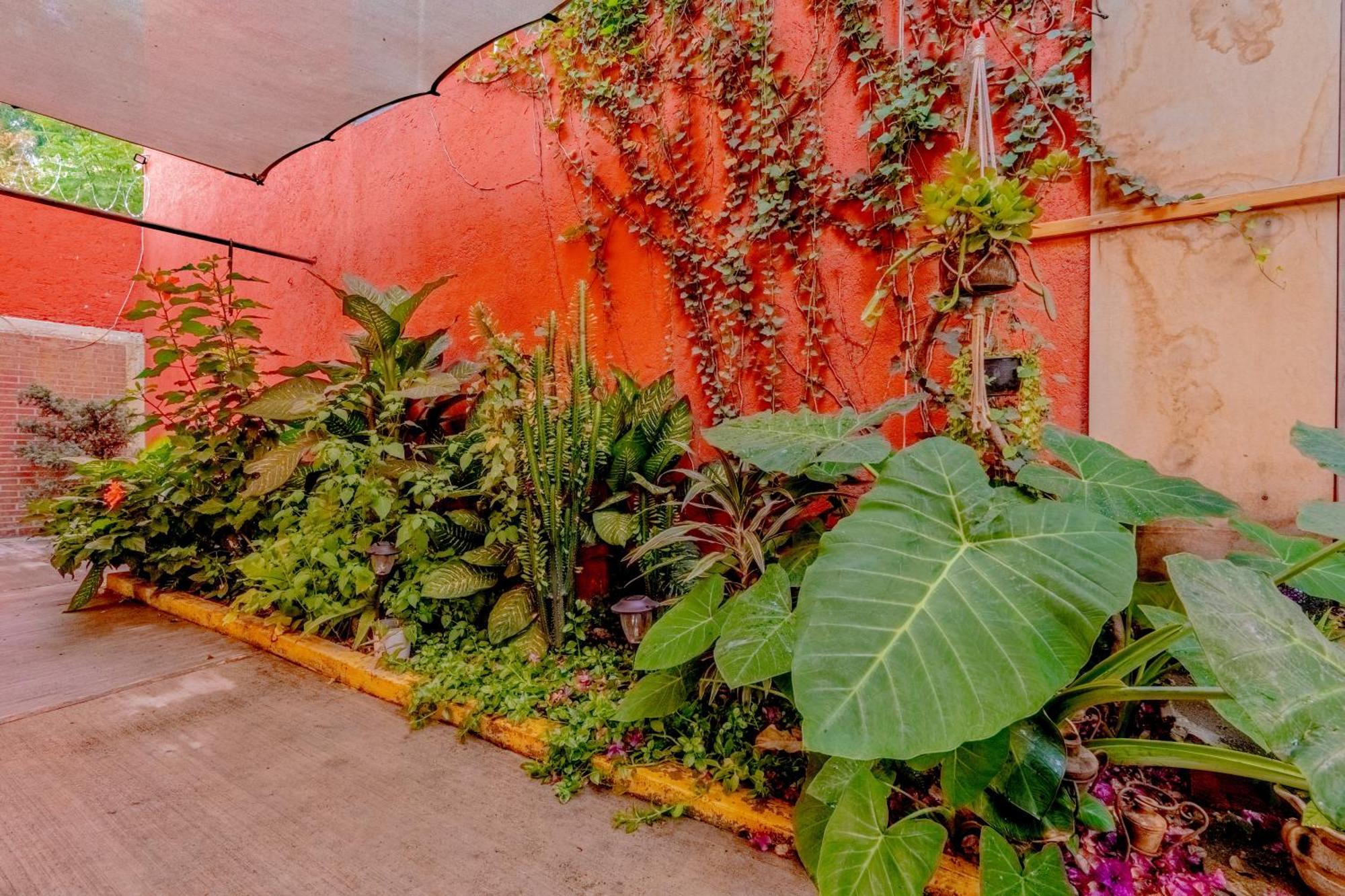 Casa Guanab Guest House Oaxaca Buitenkant foto